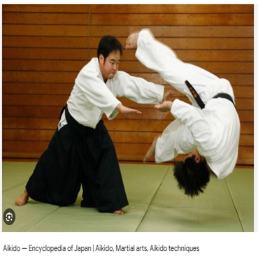 AIKIDO-demo-2-2