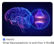 Neuroplasticity-Image
